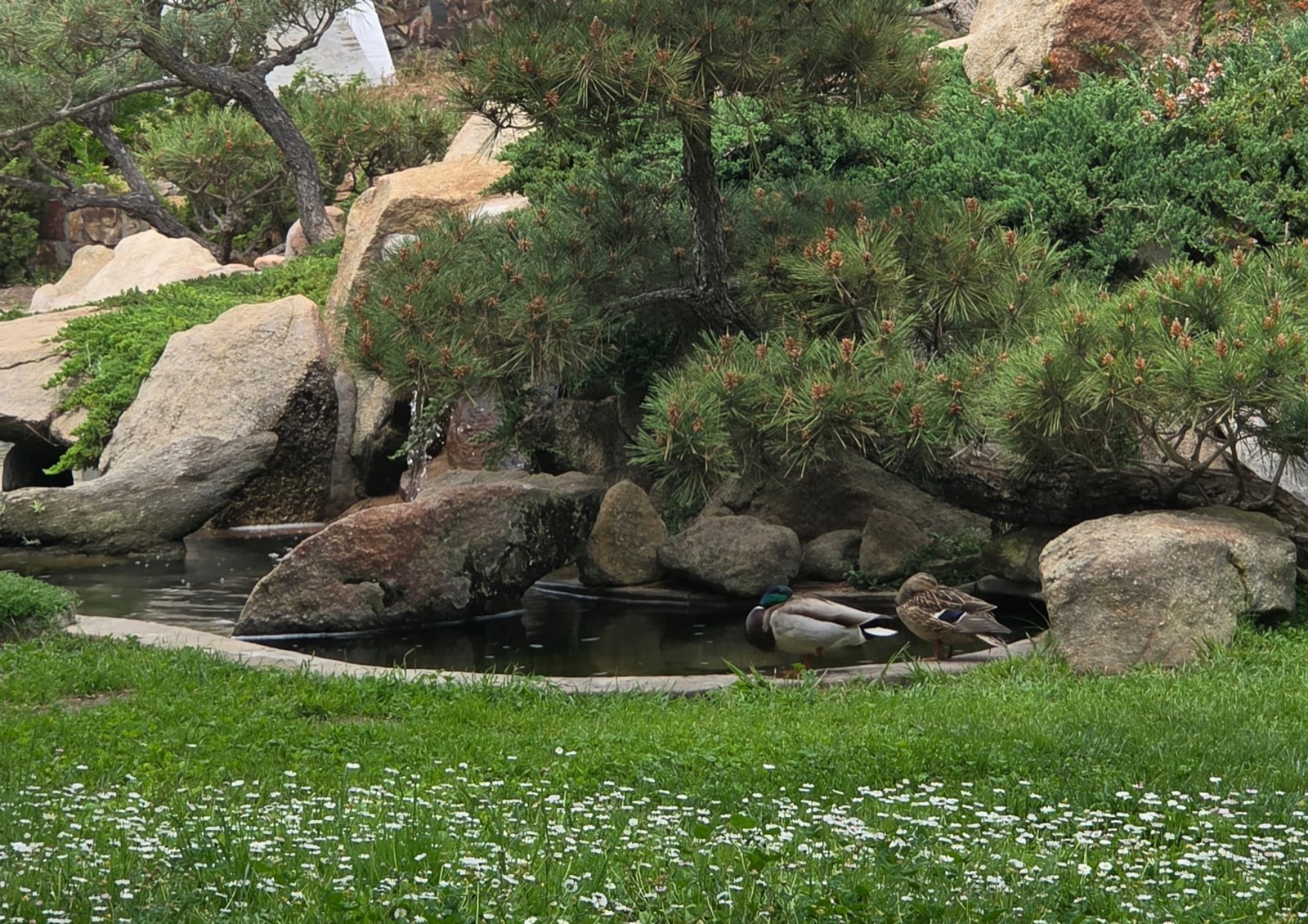 Hidden Valley Ashram