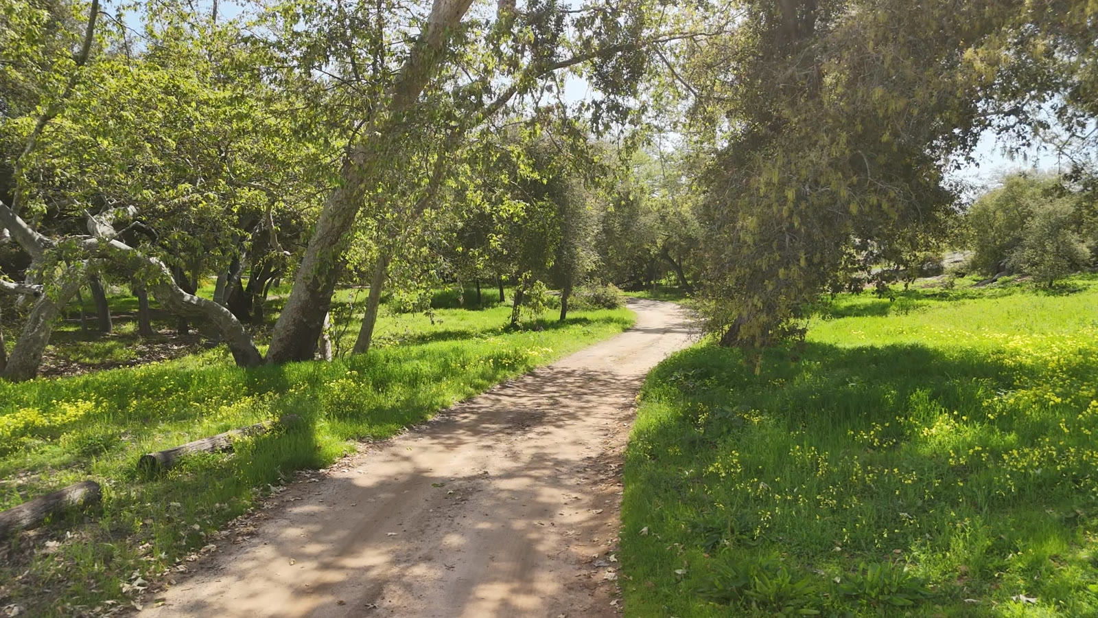 Scenic trail across the grounds